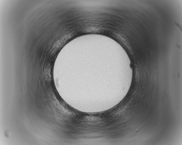 X0000102010633200808151252