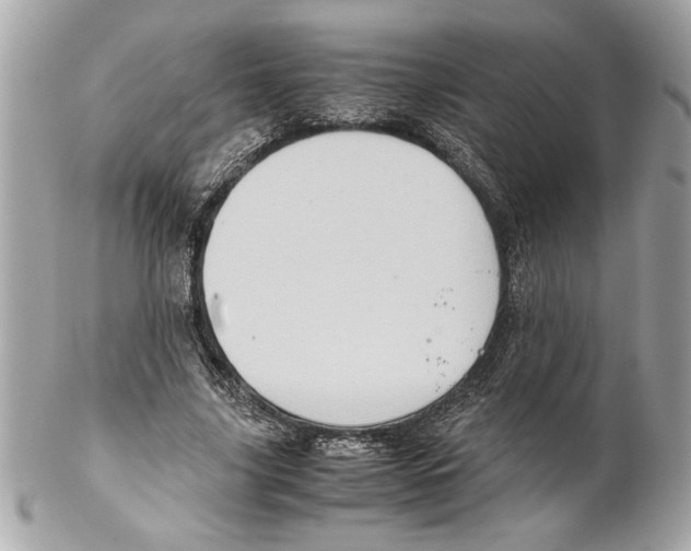 X0000102010635200808151252