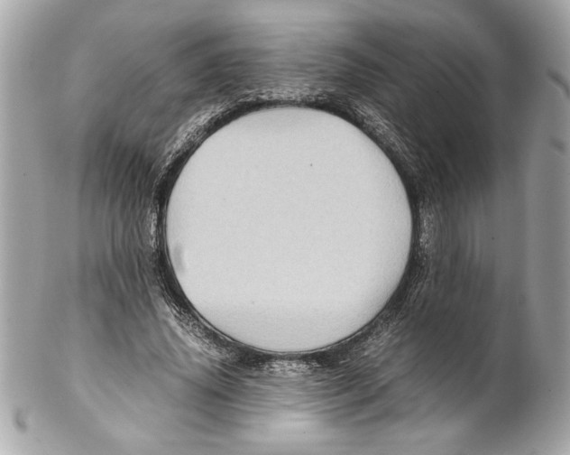 X0000102010636200808151252