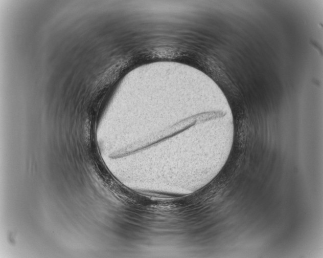 X0000102010639200808151253