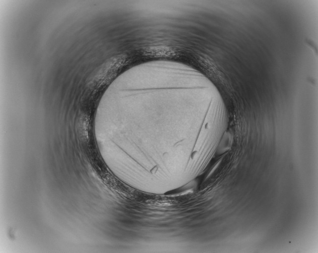 X0000102010643200808151253