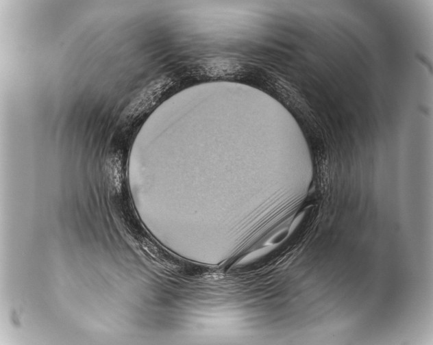 X0000102010644200808151253