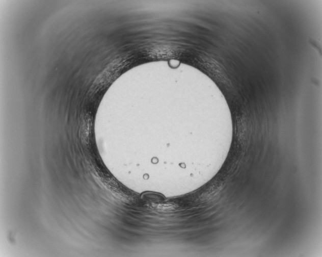 X0000102010645200808151253