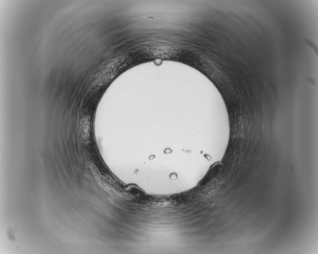 X0000102010646200808151253