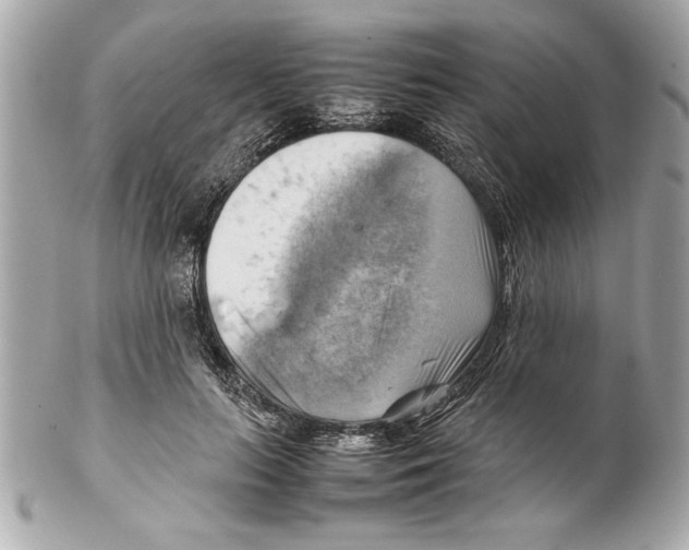 X0000102010647200808151253