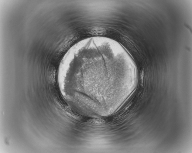 X0000102010652200808151253