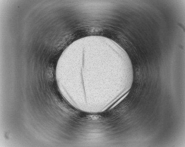 X0000102010654200808151253