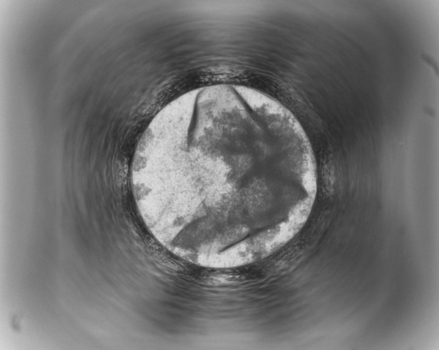 X0000102010657200808151253