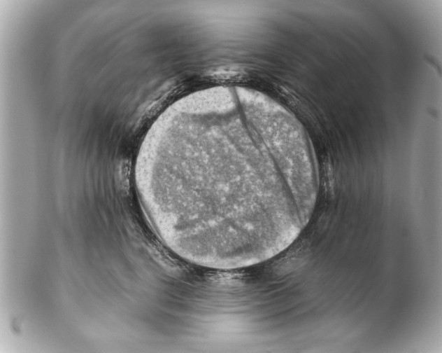 X0000102010664200808151253