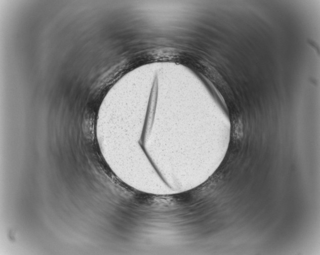 X0000102010666200808151253