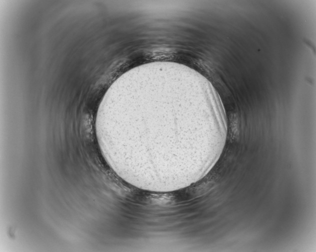 X0000102010667200808151253