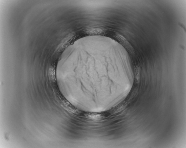 X0000102010669200808151253