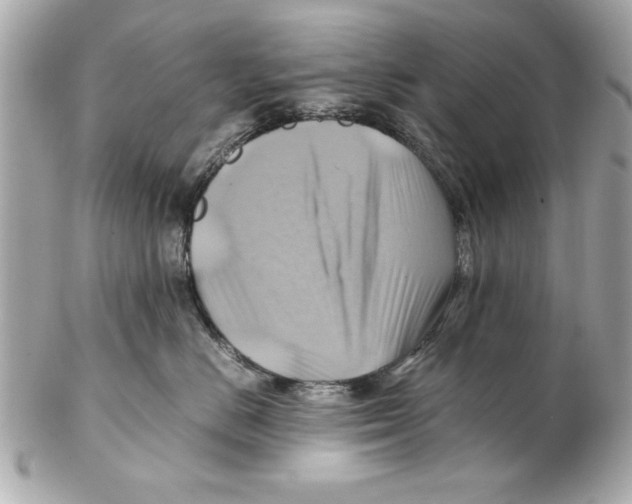 X0000102010670200808151253