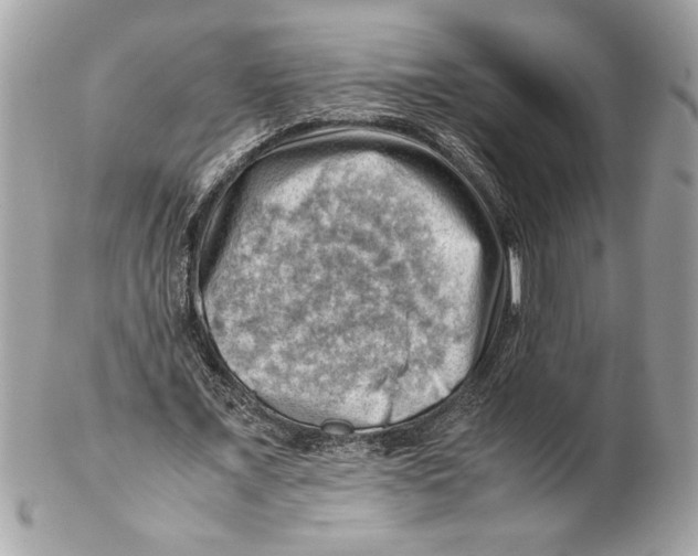 X0000102010675200808151252