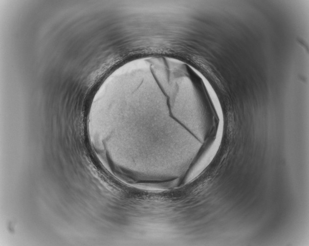 X0000102010677200808151252