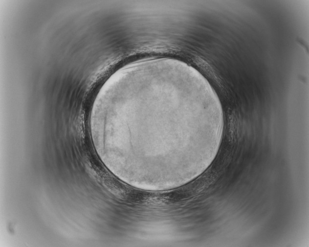 X0000102010680200808151252