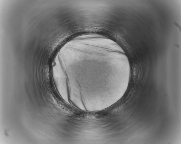 X0000102010684200808151252