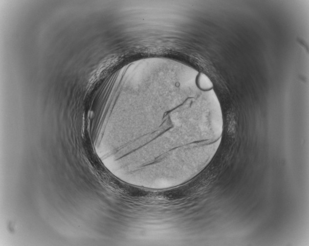 X0000102010685200808151252