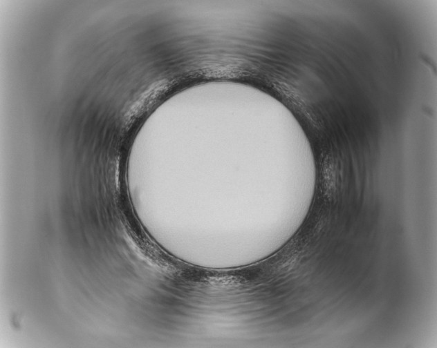 X0000102010686200808151252