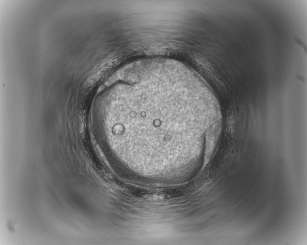 X0000102010687200808151252