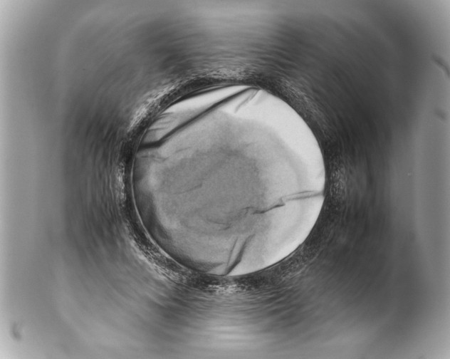 X0000102010688200808151252