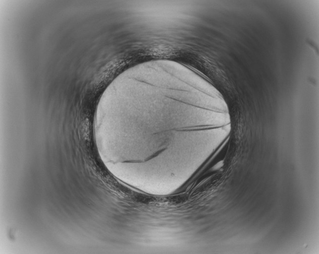 X0000102010689200808151252