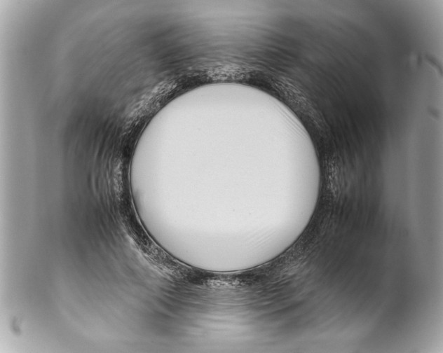 X0000102010690200808151252