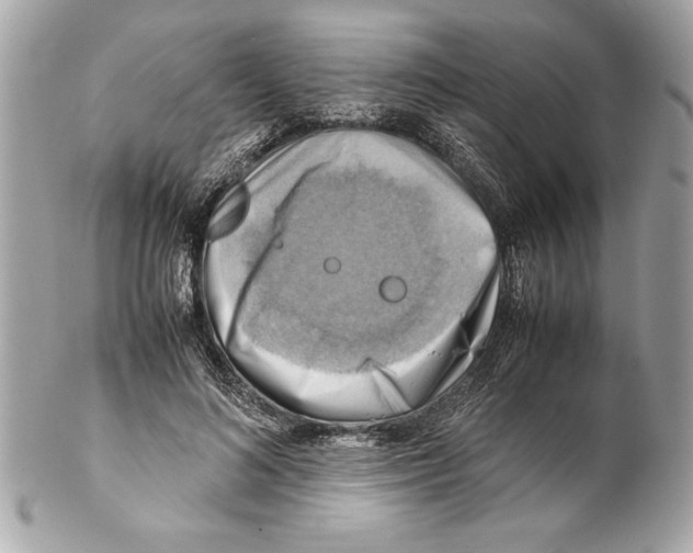 X0000102010692200808151252