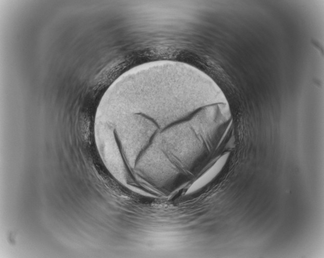 X0000102010693200808151252