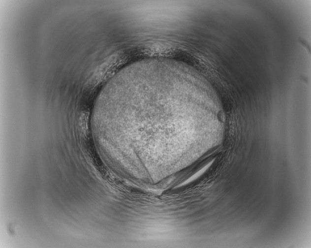 X0000102010695200808151252