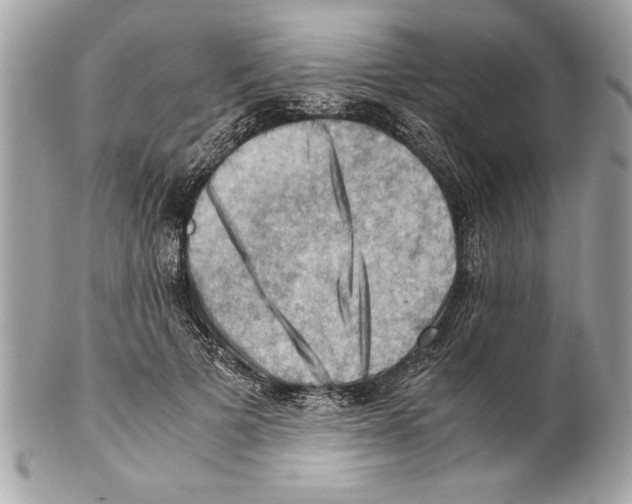 X0000102010697200808151252