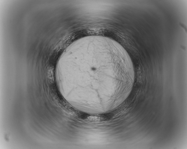 X0000102010699200808151252