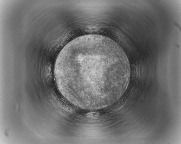 X0000102010700200808151252