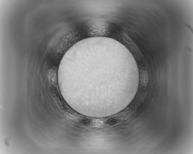 X0000102010701200808151252