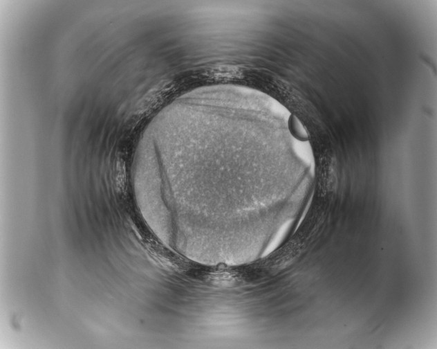 X0000102010704200808151252