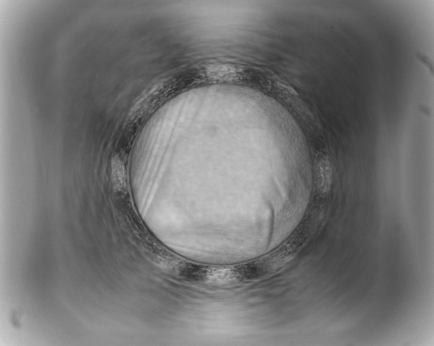 X0000102010705200808151252