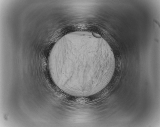 X0000102010707200808151252