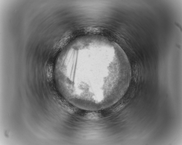 X0000102010708200808151252