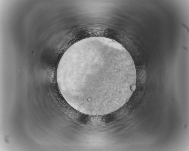 X0000102010709200808151252