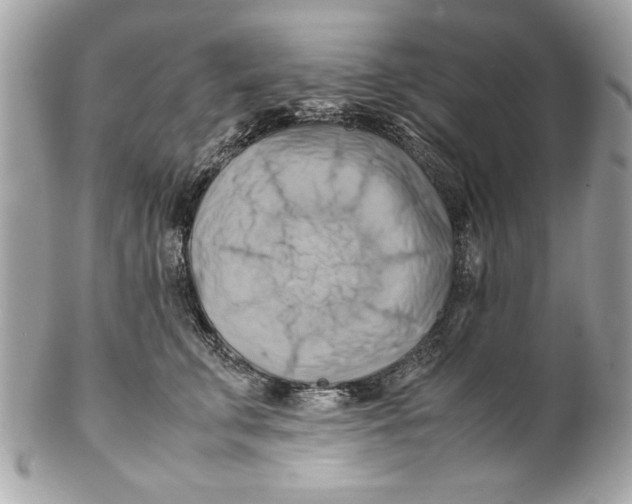 X0000102010711200808151252