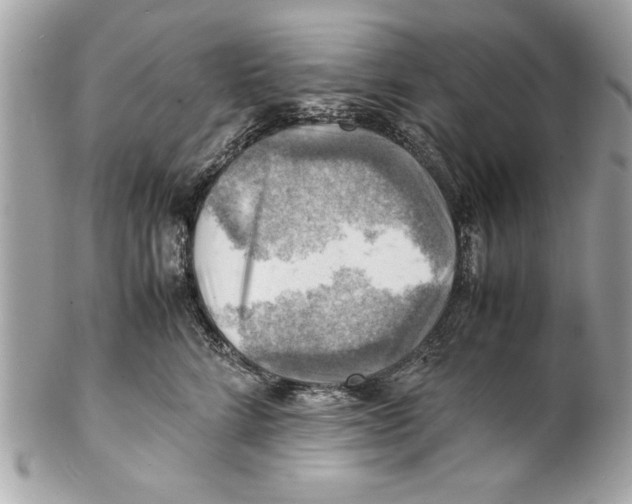 X0000102010712200808151252