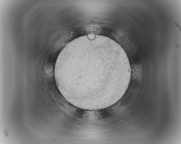 X0000102010713200808151252