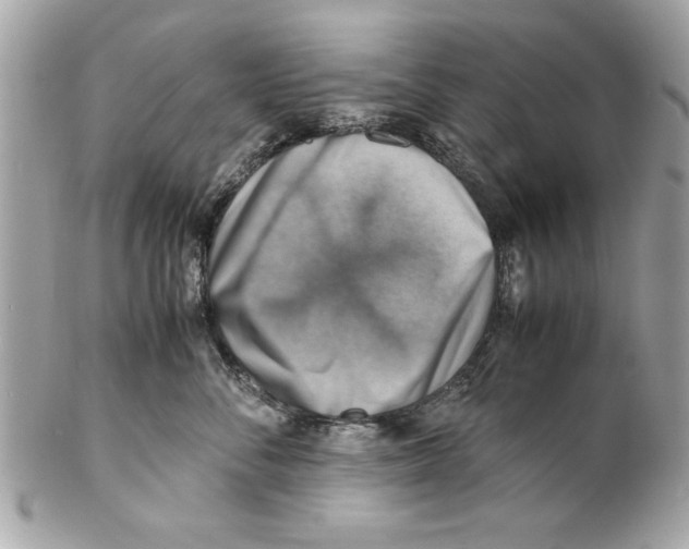 X0000102010716200808151252