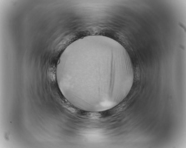 X0000102010719200808151252