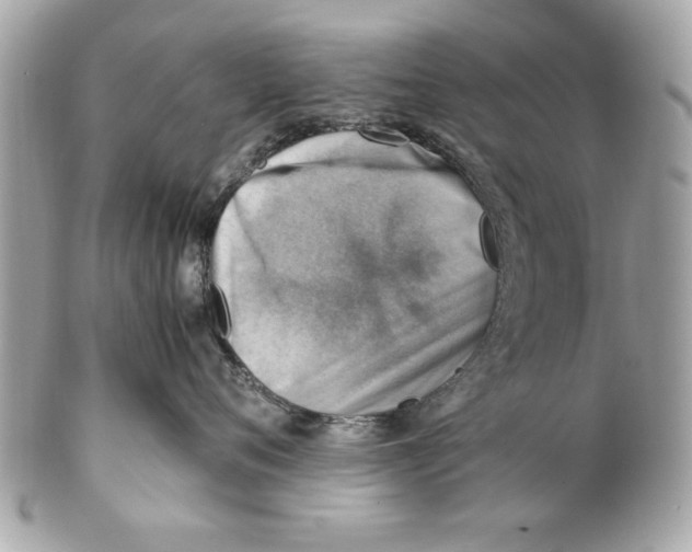 X0000102010720200808151252