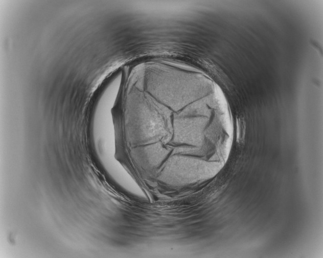 X0000102010723200808151251