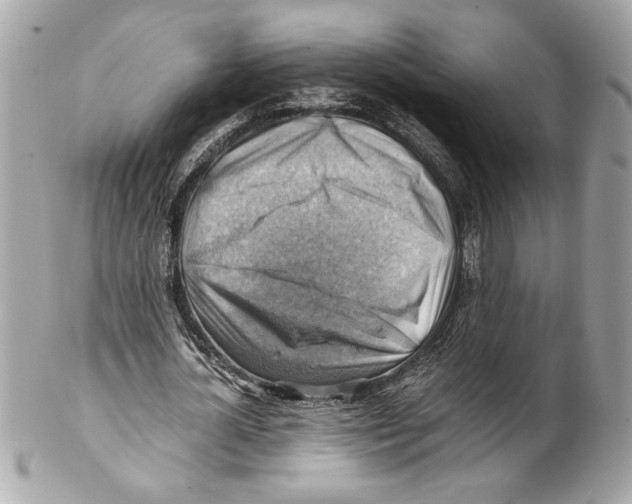 X0000102010724200808151251