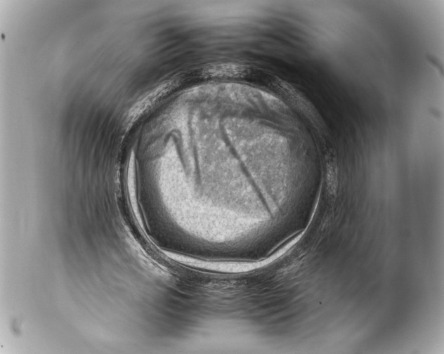 X0000102010725200808151251