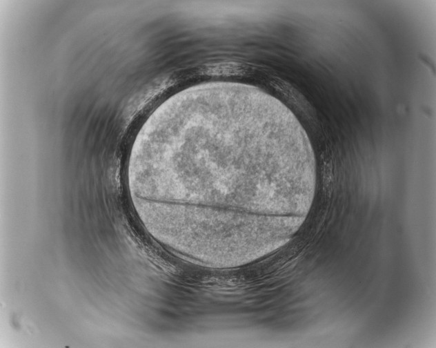 X0000102010727200808151251