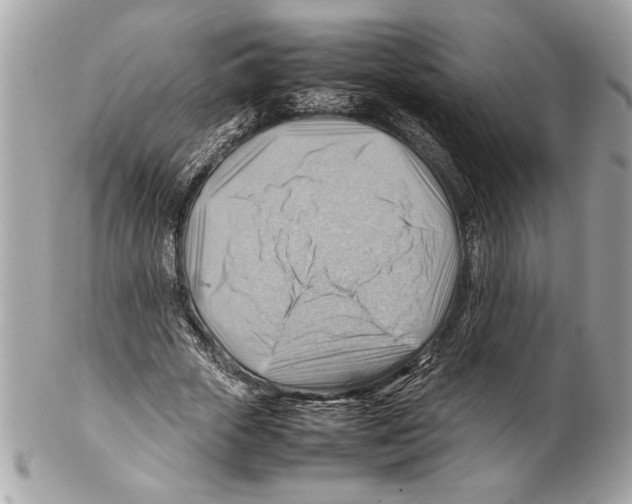 X0000102010729200808151251